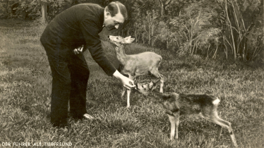 Hitler, Reh 
