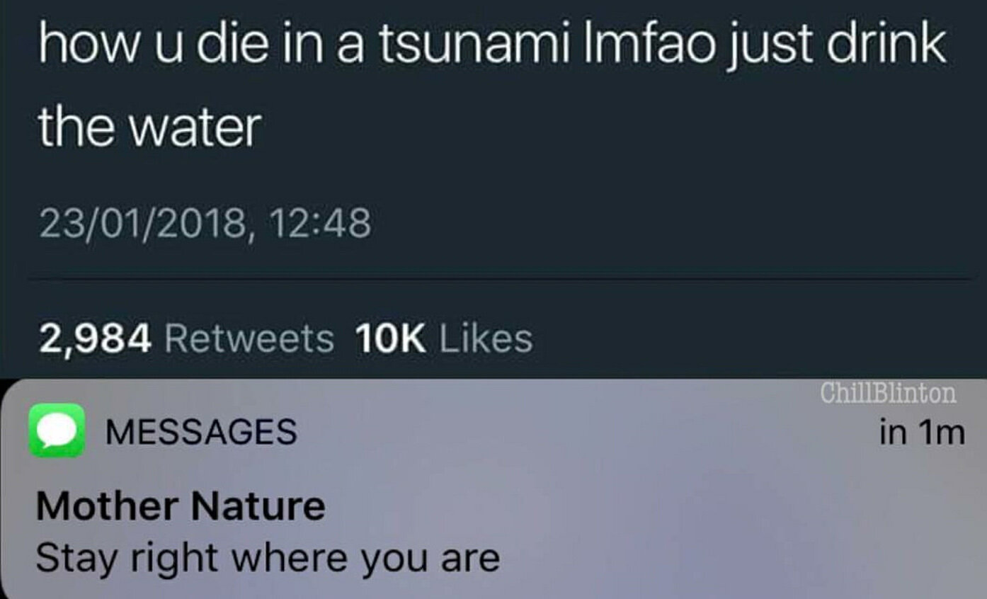 Tsunami, Meme