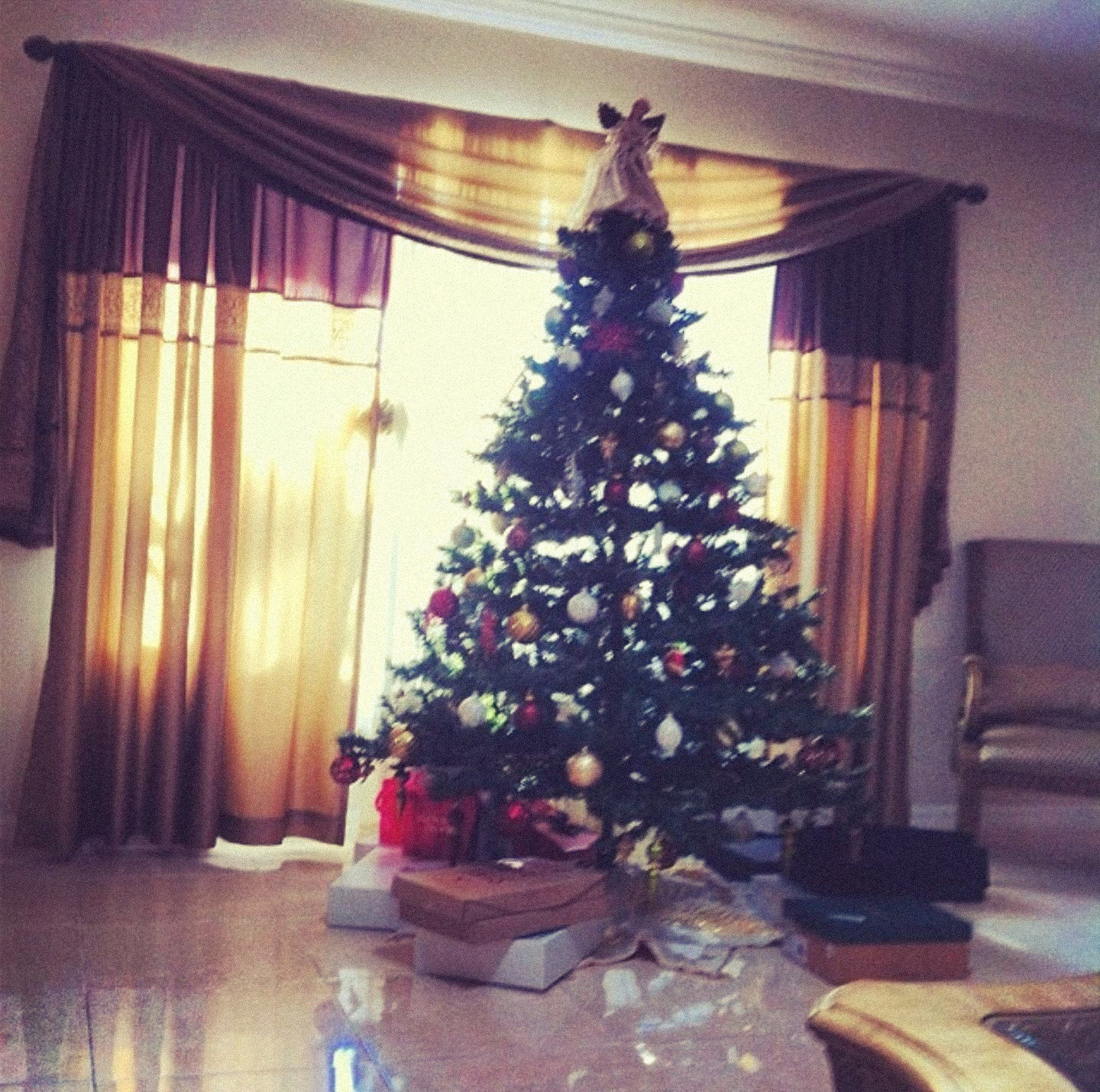  Kourosh Zaris erster Weihnachtsbaum in Shiraz